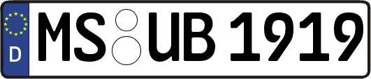 MS-UB1919