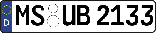 MS-UB2133