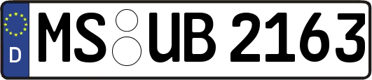 MS-UB2163