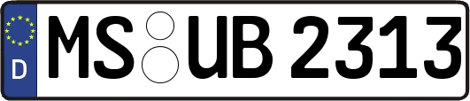 MS-UB2313