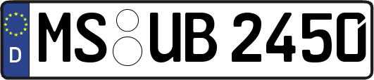 MS-UB2450