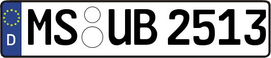 MS-UB2513
