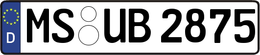 MS-UB2875
