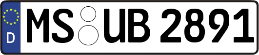 MS-UB2891