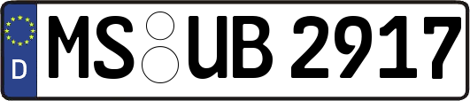 MS-UB2917