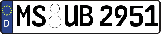 MS-UB2951