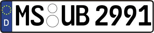 MS-UB2991