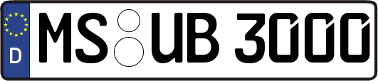 MS-UB3000