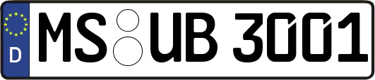MS-UB3001