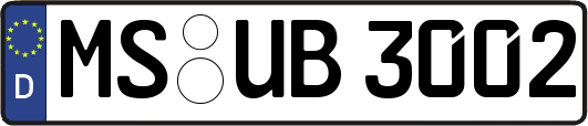 MS-UB3002