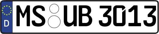 MS-UB3013