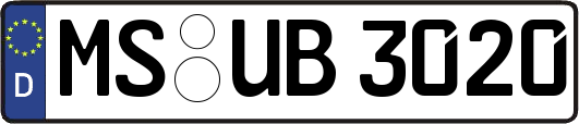 MS-UB3020