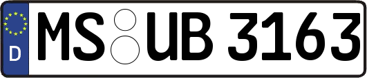 MS-UB3163