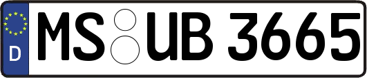MS-UB3665