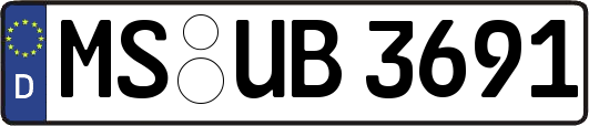 MS-UB3691
