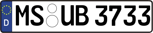 MS-UB3733