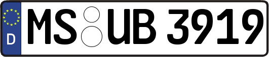 MS-UB3919