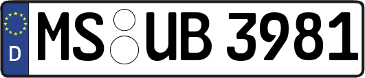 MS-UB3981