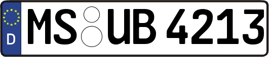 MS-UB4213