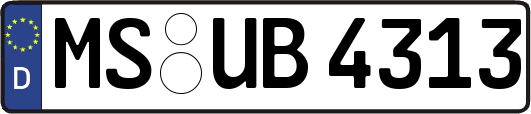 MS-UB4313