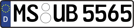 MS-UB5565