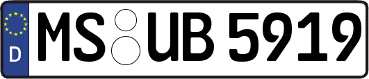 MS-UB5919