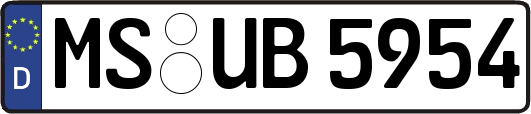 MS-UB5954