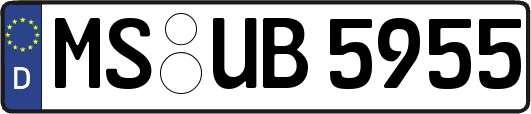 MS-UB5955