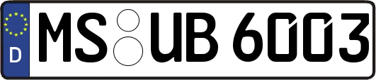 MS-UB6003