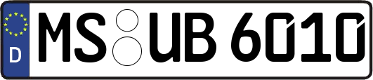 MS-UB6010