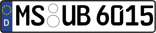 MS-UB6015