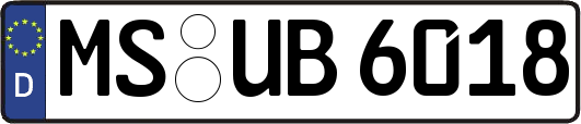 MS-UB6018