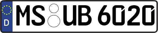MS-UB6020