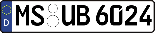MS-UB6024