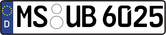 MS-UB6025