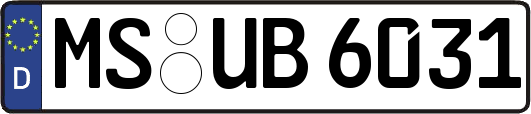 MS-UB6031