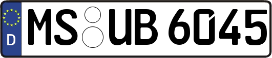 MS-UB6045