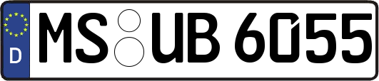 MS-UB6055