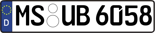 MS-UB6058
