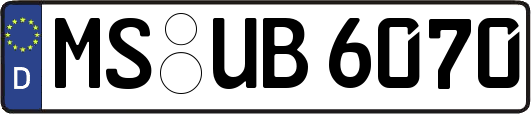 MS-UB6070