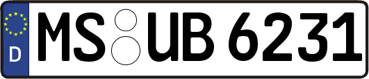 MS-UB6231