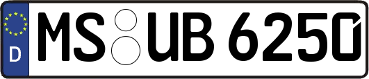 MS-UB6250