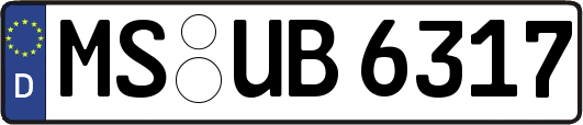MS-UB6317