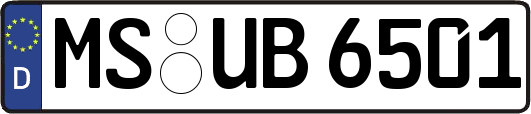 MS-UB6501