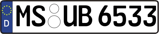 MS-UB6533