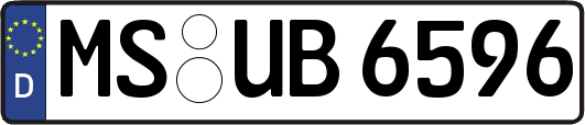 MS-UB6596