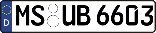 MS-UB6603
