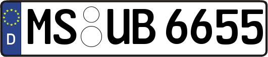 MS-UB6655