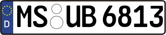 MS-UB6813