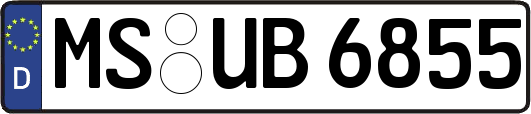 MS-UB6855